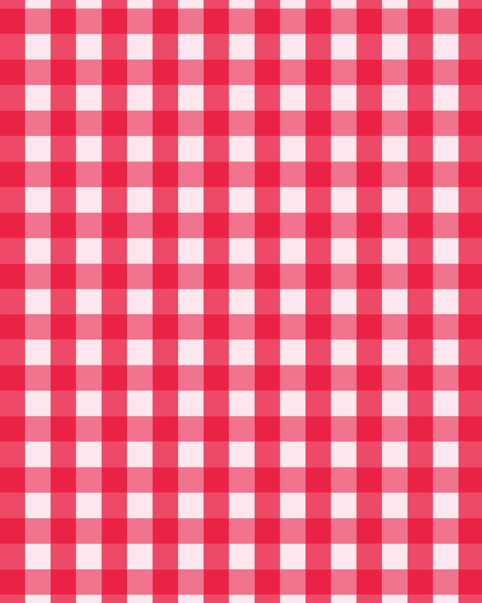Red Gingham swimwear print on Carvico Brisbane Recycled fabric