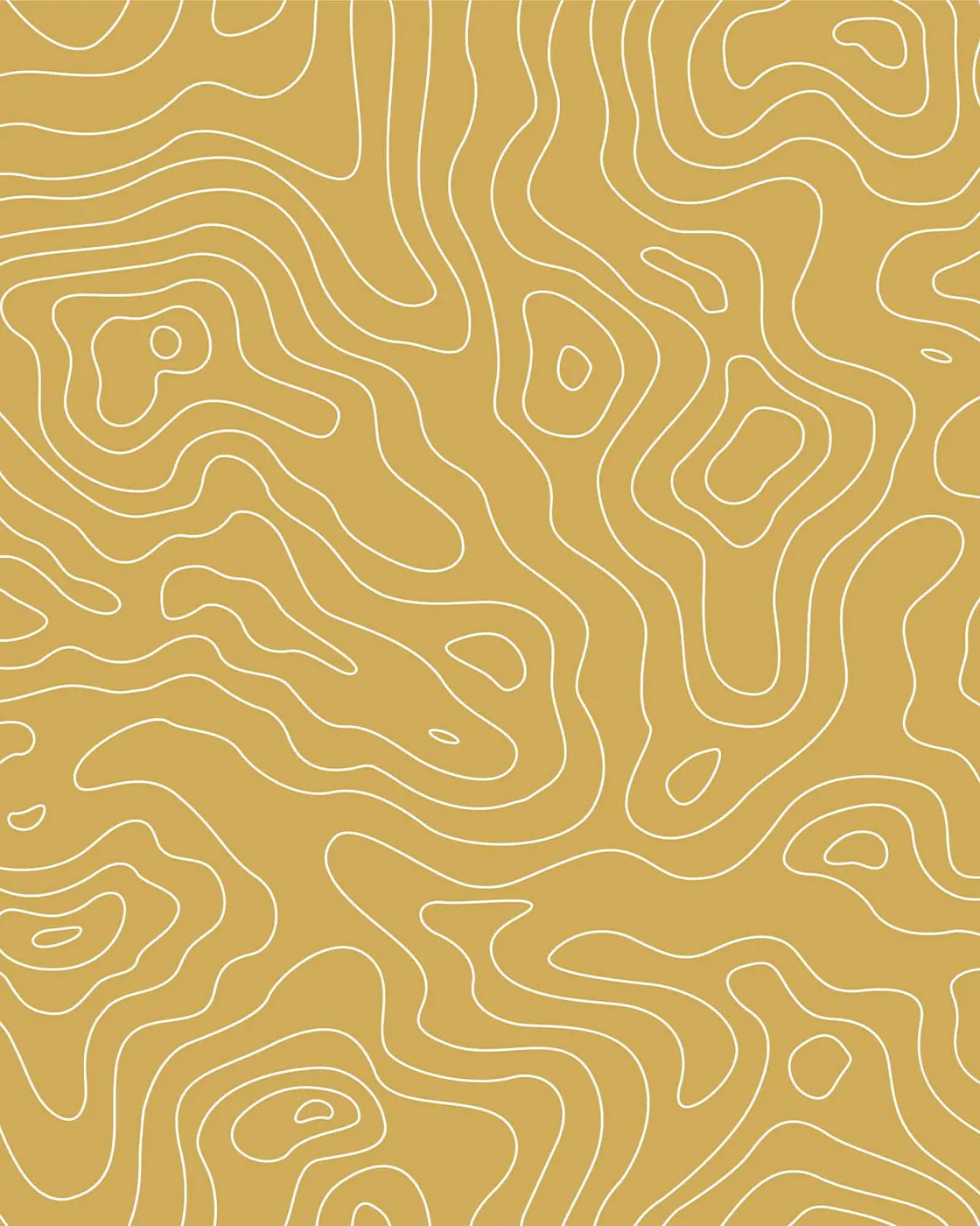 Mapping swimwear print on Carvico Brisbane Recycled fabric